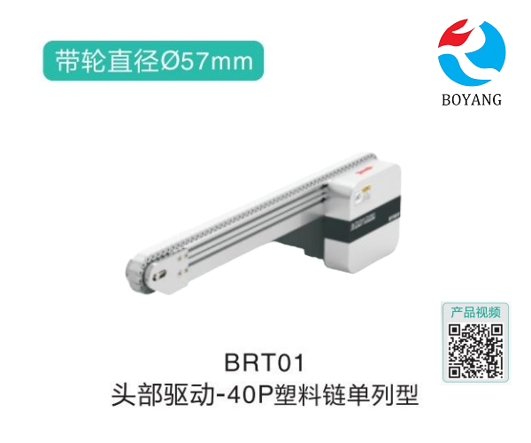 皮帶輸送機BRT01頭部驅(qū)動塑料鏈單列型